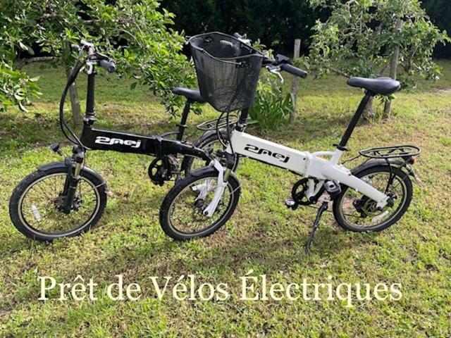 Instant Zen Bed & Breakfast Saint-Vivien-de-Medoc Ngoại thất bức ảnh