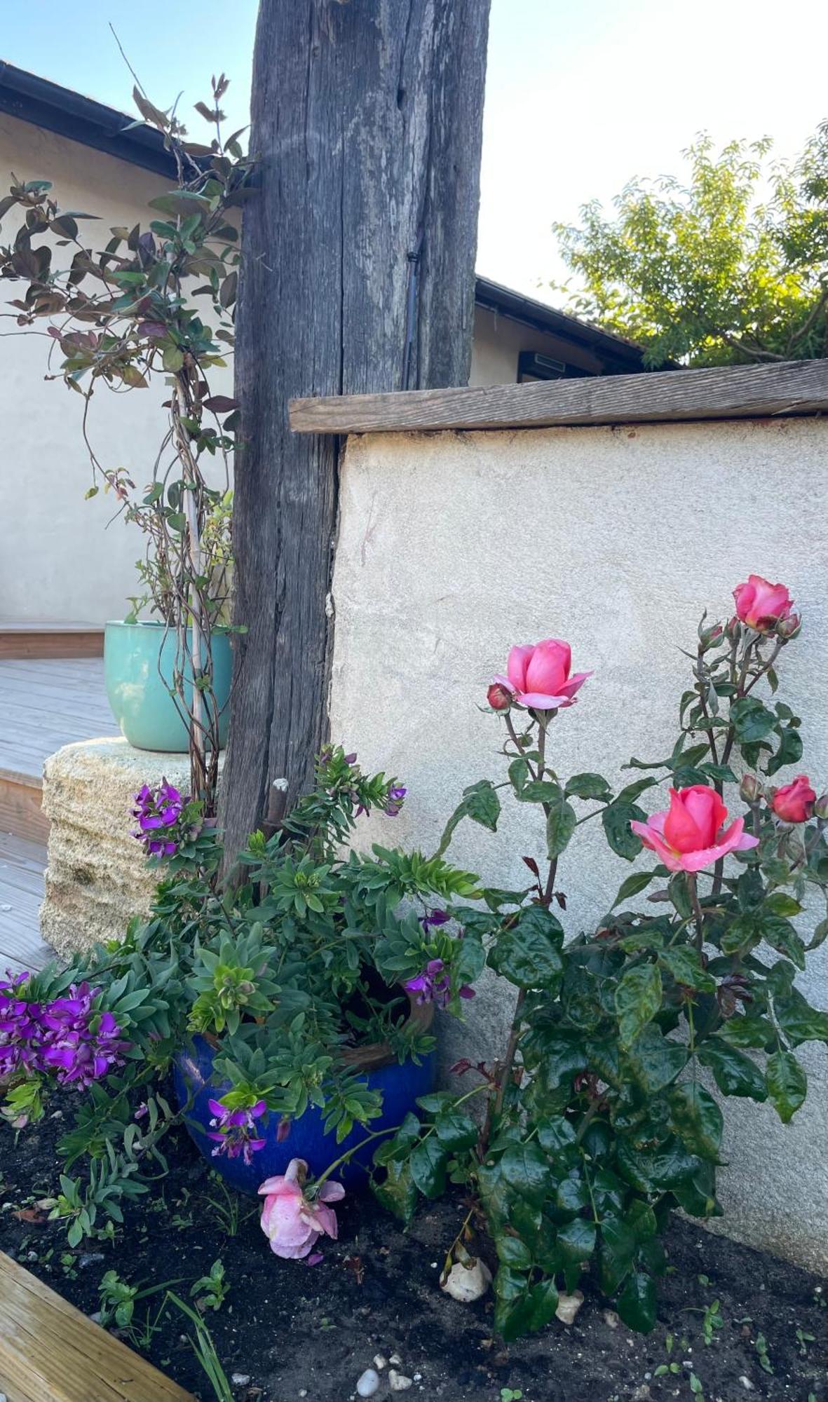 Instant Zen Bed & Breakfast Saint-Vivien-de-Medoc Ngoại thất bức ảnh