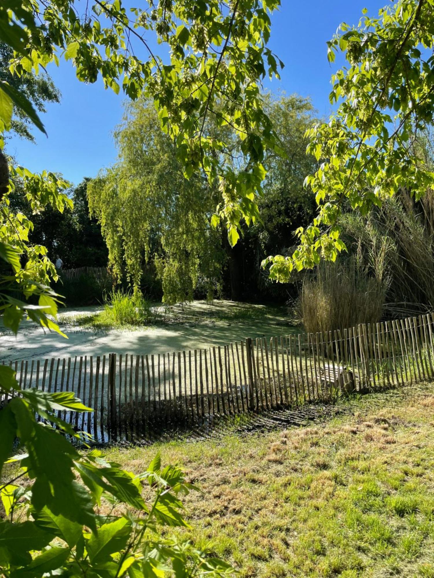 Instant Zen Bed & Breakfast Saint-Vivien-de-Medoc Ngoại thất bức ảnh